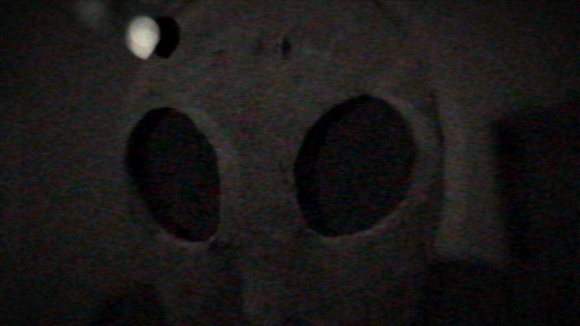 Horrizaphenics still